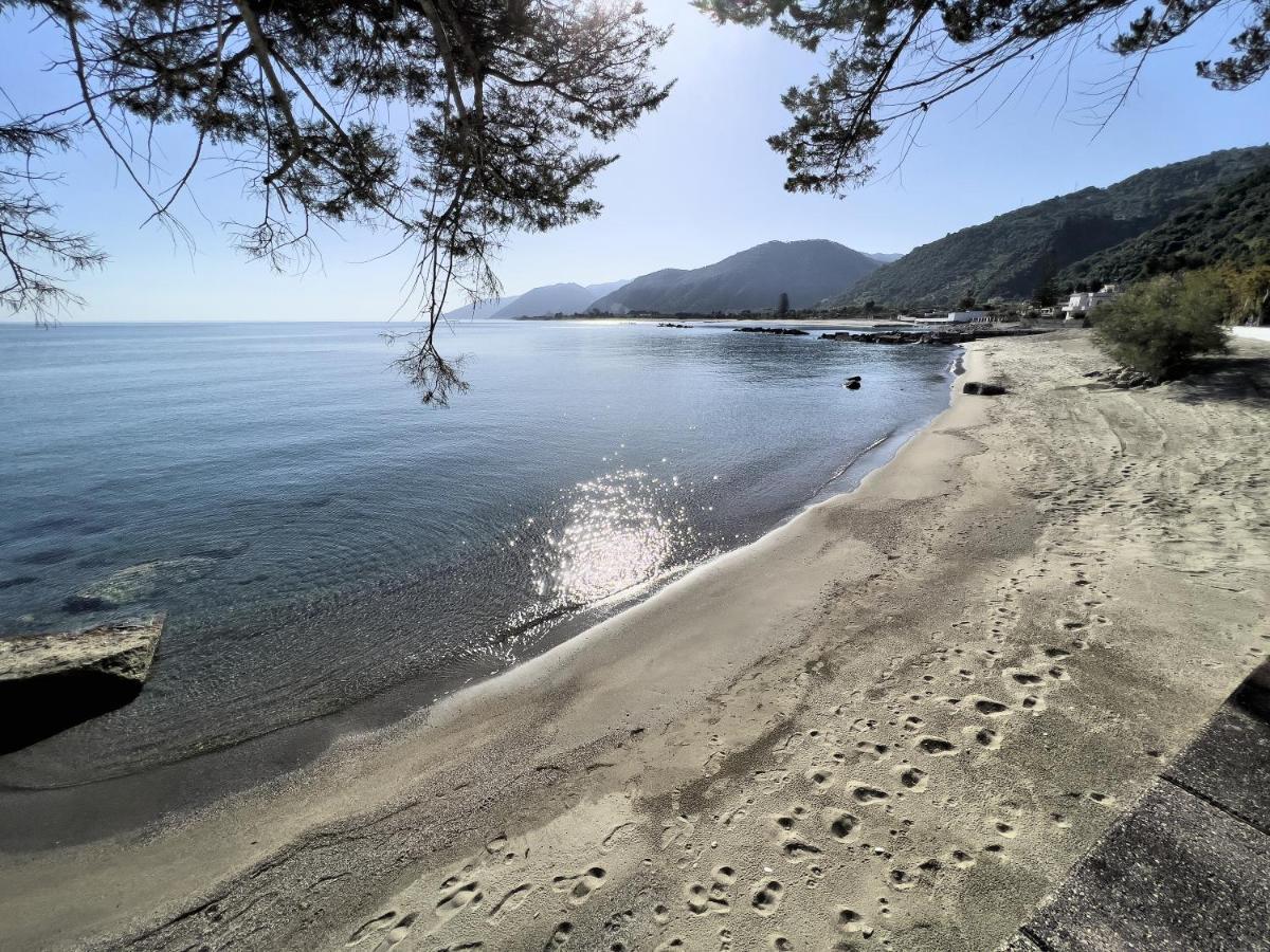 Testa Di Monaco - Basic Beach Accommodations Capo dʼOrlando المظهر الخارجي الصورة