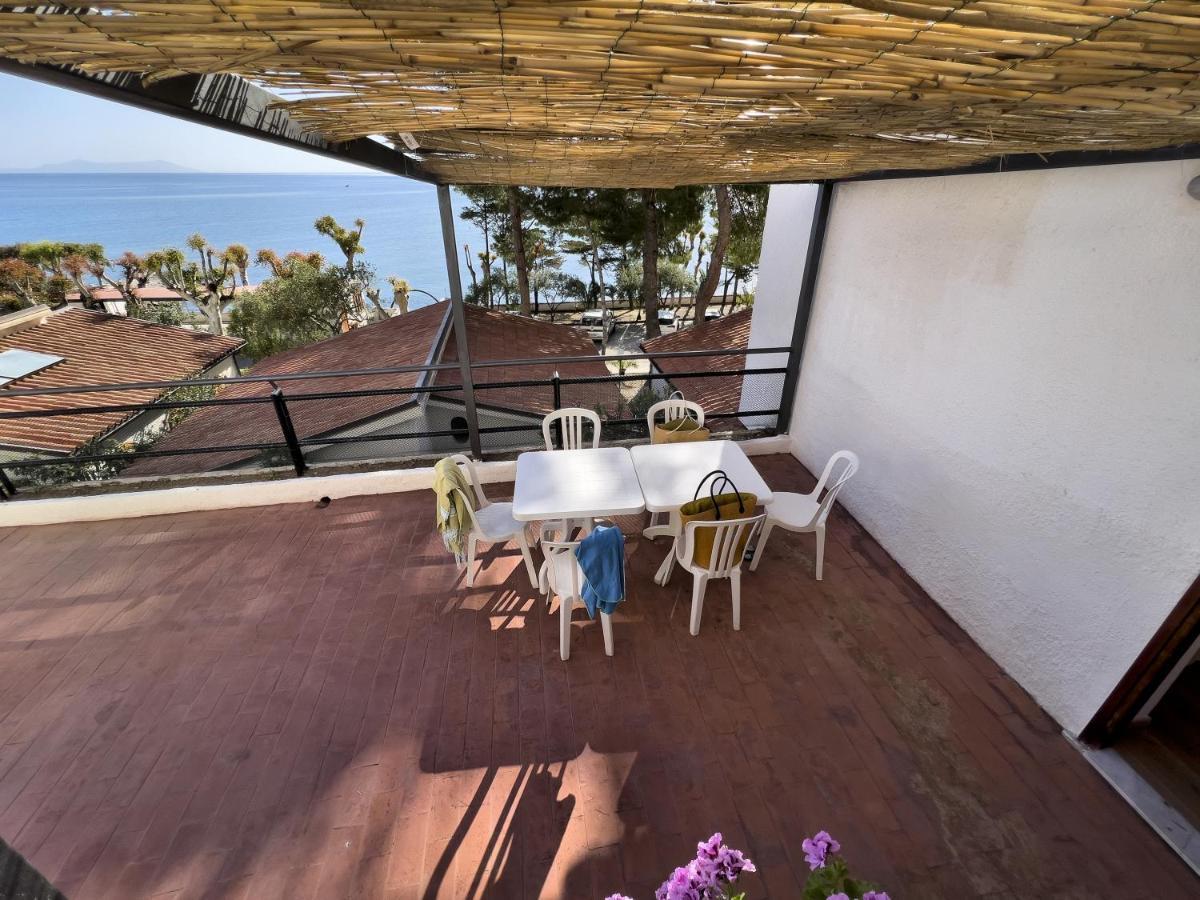 Testa Di Monaco - Basic Beach Accommodations Capo dʼOrlando المظهر الخارجي الصورة