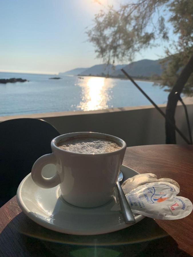 Testa Di Monaco - Basic Beach Accommodations Capo dʼOrlando المظهر الخارجي الصورة