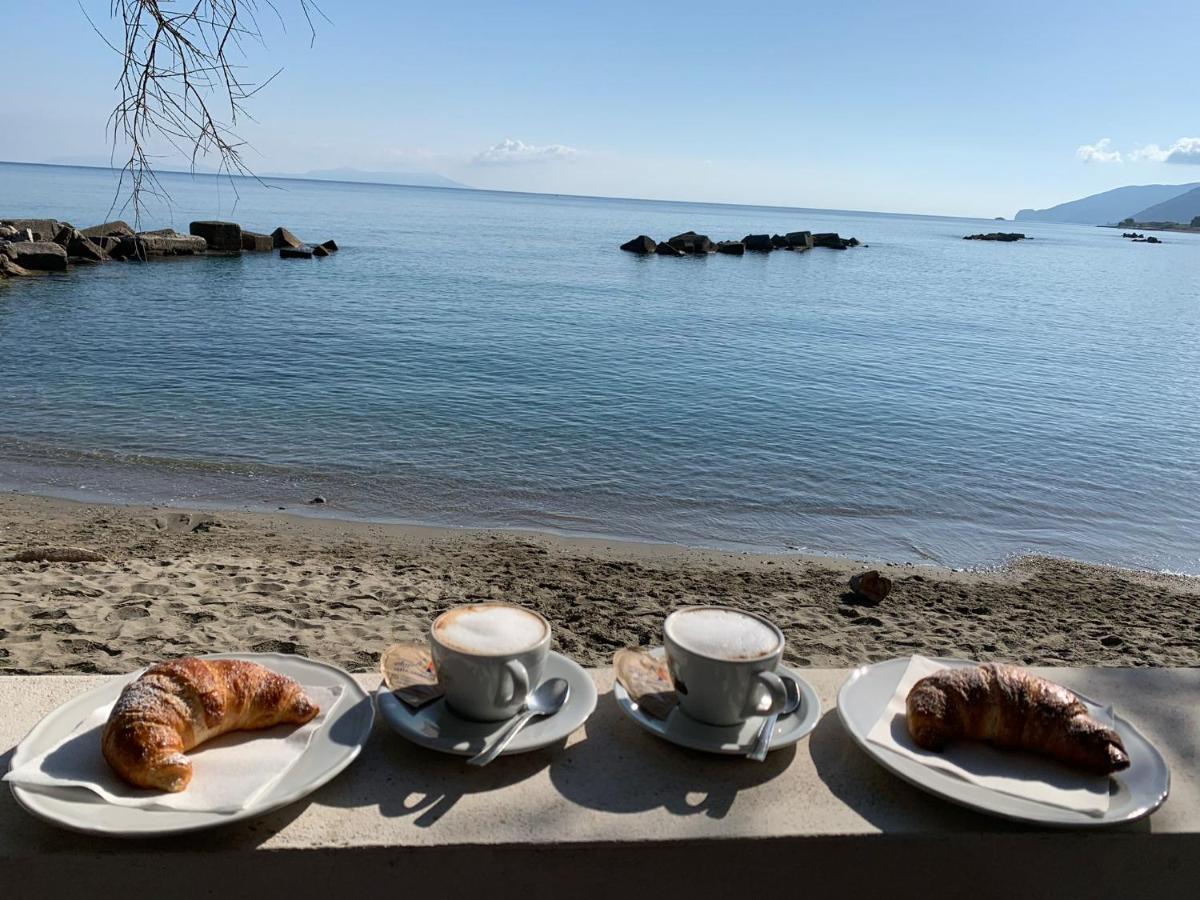 Testa Di Monaco - Basic Beach Accommodations Capo dʼOrlando المظهر الخارجي الصورة